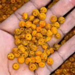 natural turmeric beads