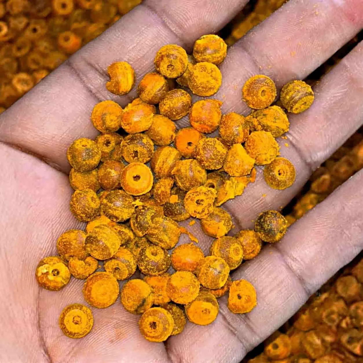 natural turmeric beads