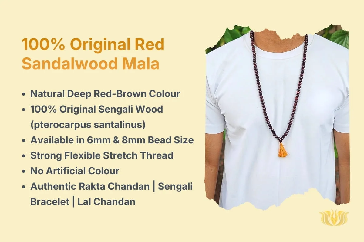 red sandalwood mala original lal chandan rakta chandan sengali mala